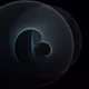 221000019