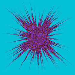 Star Flower #419
