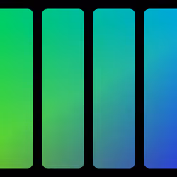 208000050