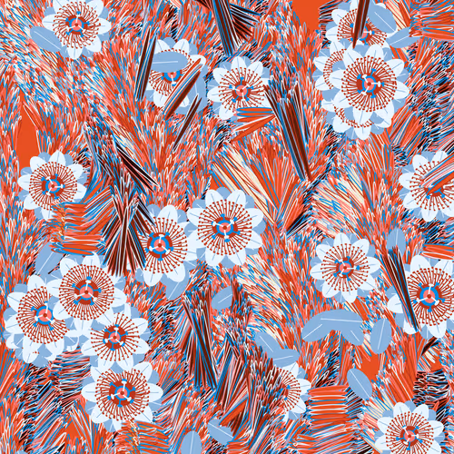 Fragments Of An Infinite Field By Monica Rizzolli