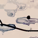328000049