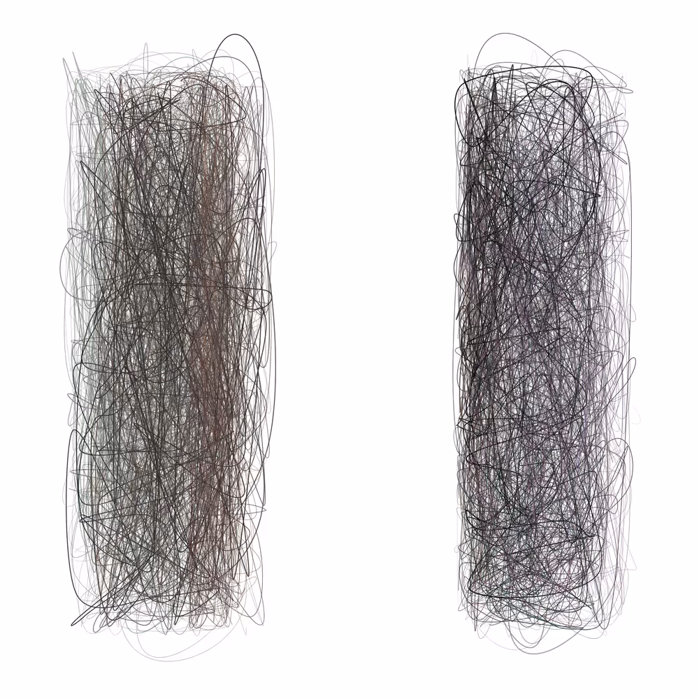 Scribbled Boundaries #1002