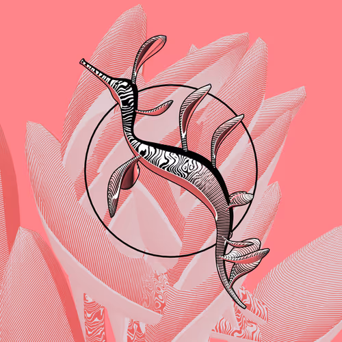 Item #160000316 Media