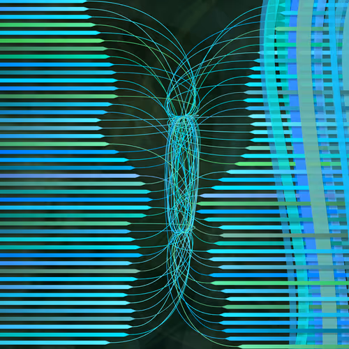 Item #97000012 Media