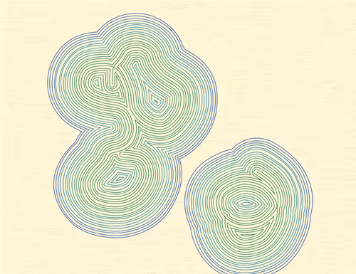 Item #335000230 Media