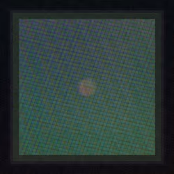 Gazers #156