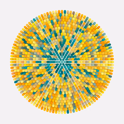 Transitions By Jason Ting X Matt Bilfield