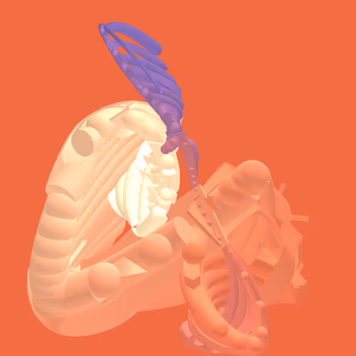 Item #268000007 Media