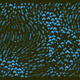 235000498