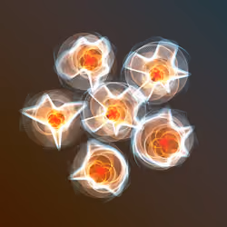 Flowers #3759