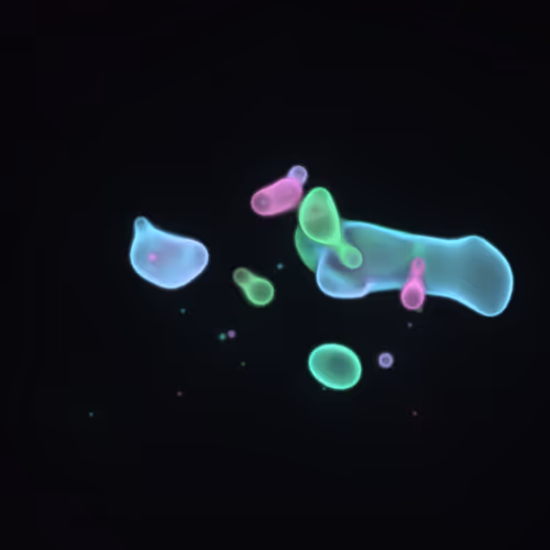 Item #62000423 Media