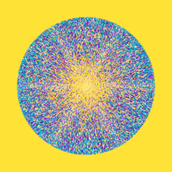 Transitions #2959