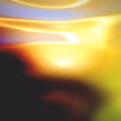 Flux #310