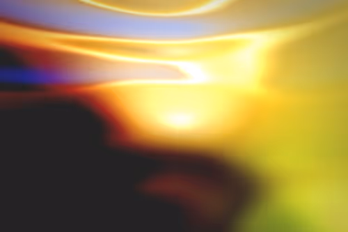 Item #296000310 Media