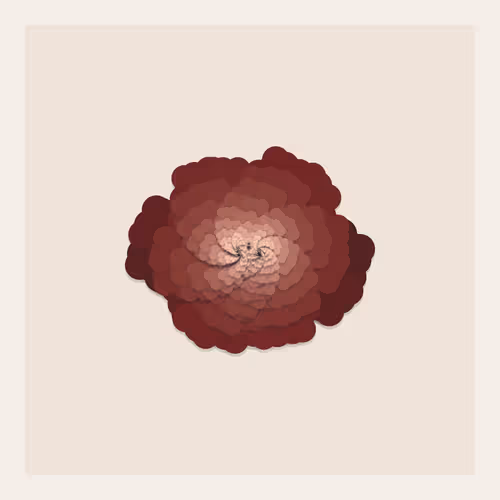 Item #103000195 Media