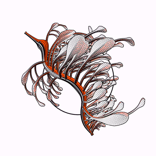 Seadragons #969