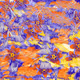 Fragments of an Infinite Field #114