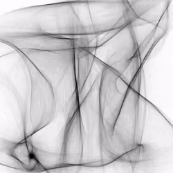 Synapses #233