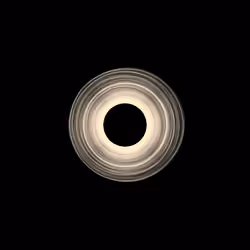 Singularity #878