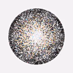 Transitions #3071