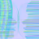 97000454