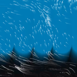 Liquid Ruminations #1020