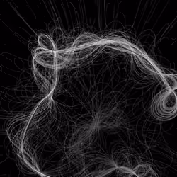 Phototaxis #702