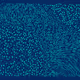 235000397