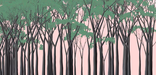 Item #254000021 Media