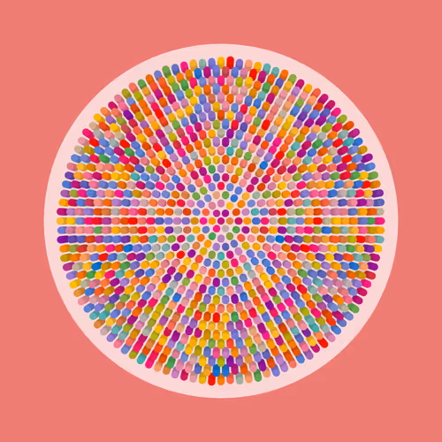 Transitions By Jason Ting X Matt Bilfield