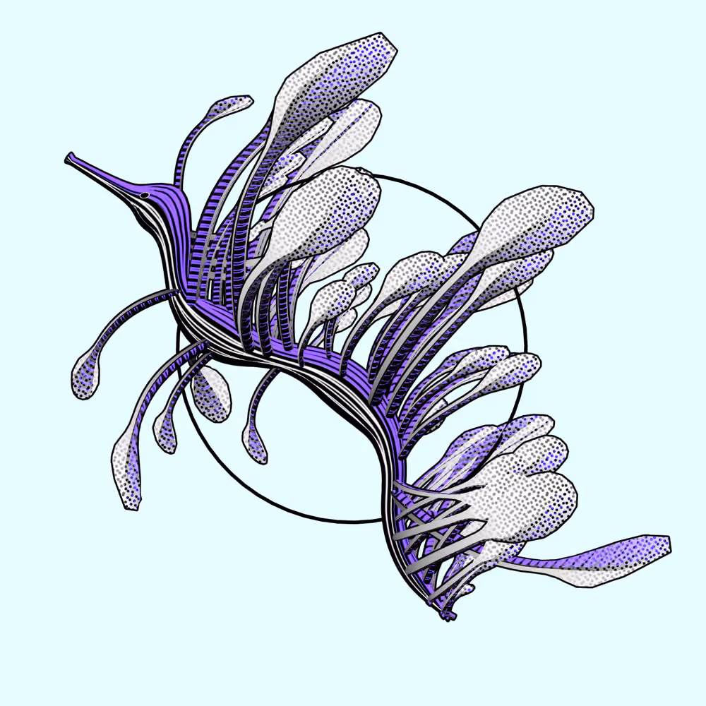 Seadragons #972