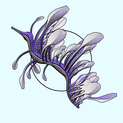 Seadragons #972