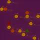 219000032