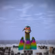 227001805