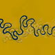 284000423