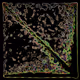 Primordial #216