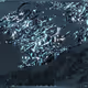 232000652