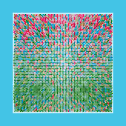 Transitions #869