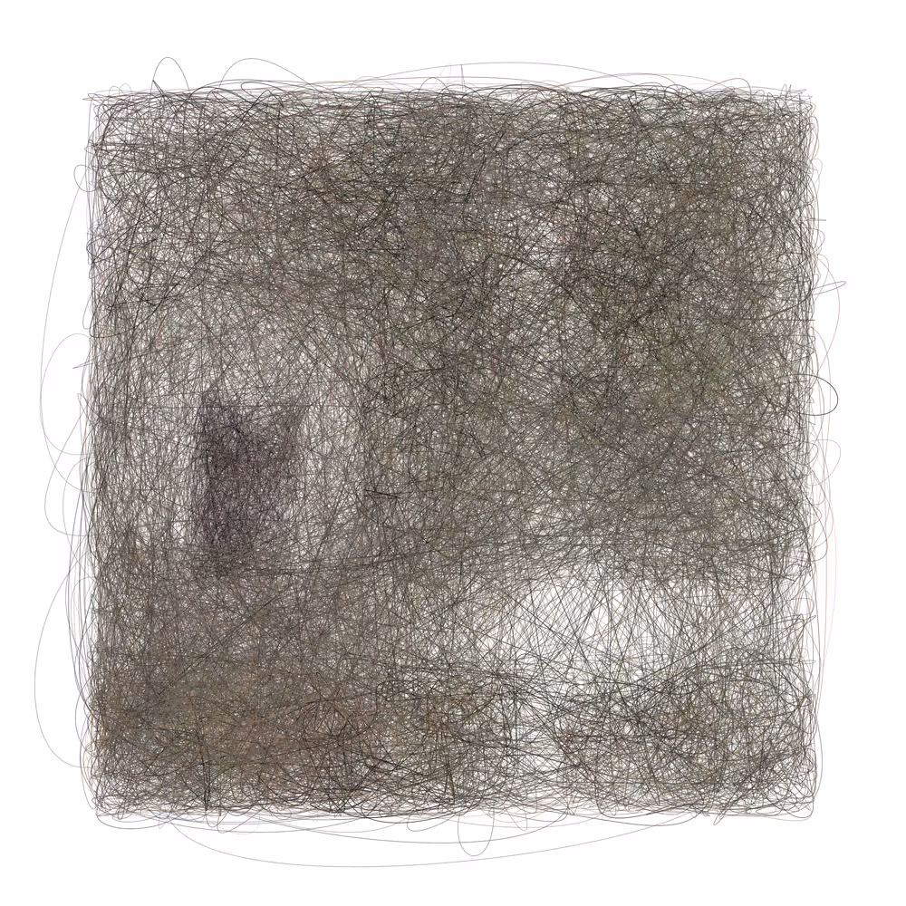 Scribbled Boundaries #1000