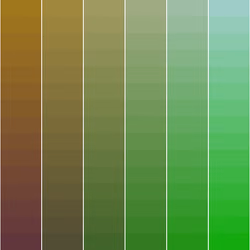 Color Study #772