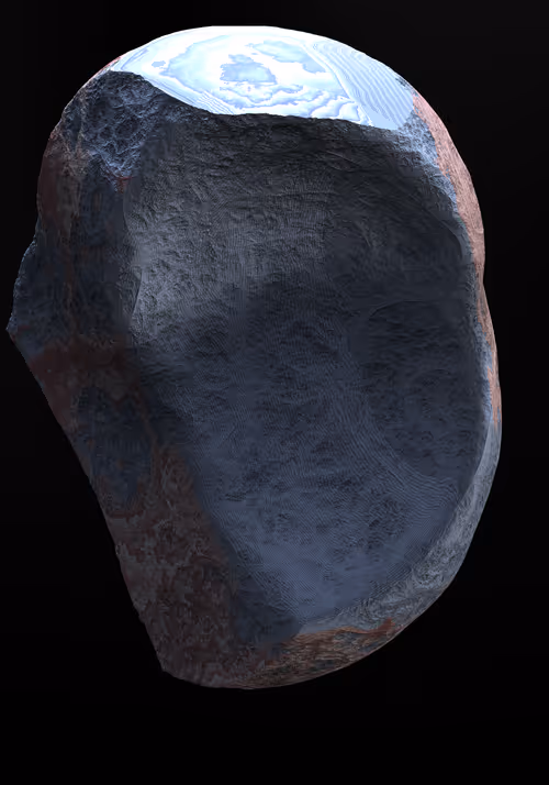 Item #327000005 Media