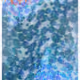 344000036