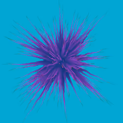Star Flower #18