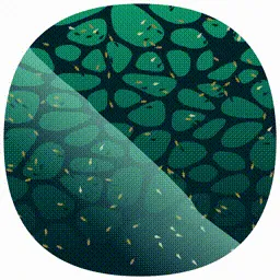 Item #107000329 Media