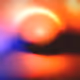 296000118