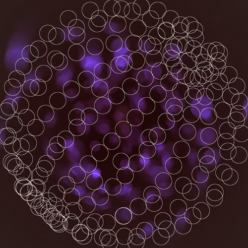 Item #250000875 Media