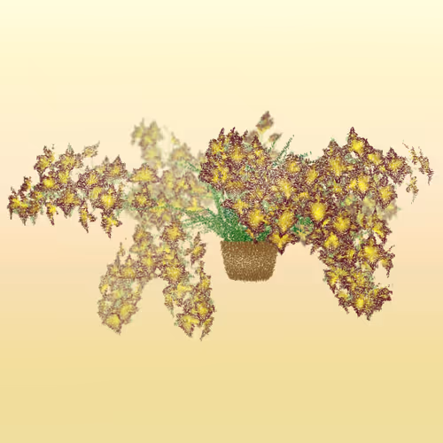 Item #308000114 Media