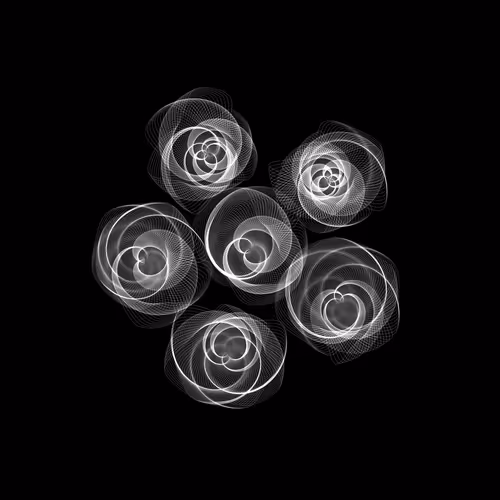 Item #116004160 Media