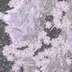 159000572