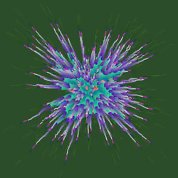 Star Flower #524